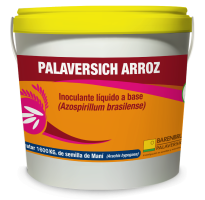 Balde palaversich arroz