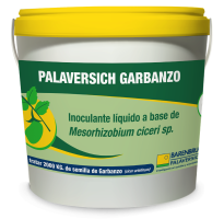 Balde palaversich garbanzo