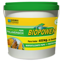 Biopower maiz sorgo y girasol pgpr