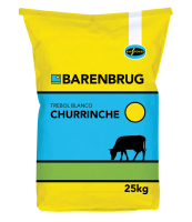 TREBOL B CHURRINCHE.png