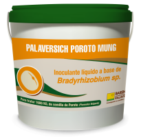 Poroto Mung Barenbrug Palaversich