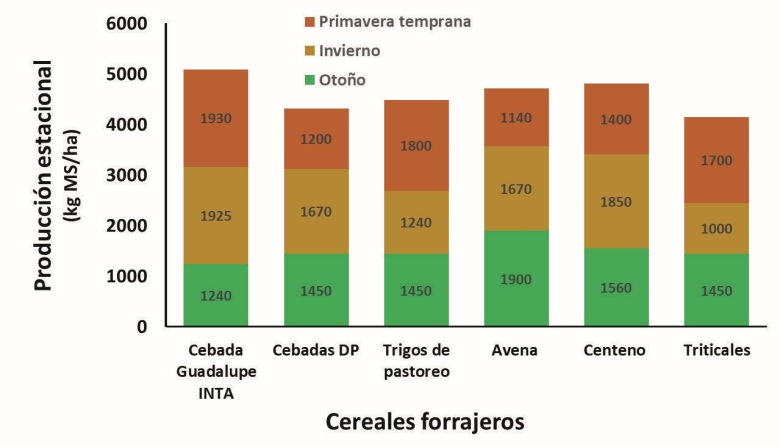 Cebada guadalupe gráfico