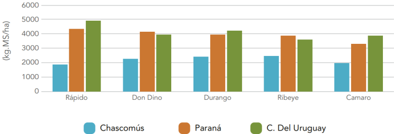graph 3 Rapido INTA
