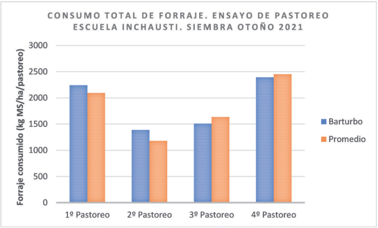 graph Bartumbo