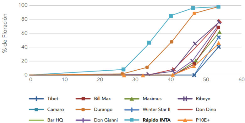 graph Rapido INTA