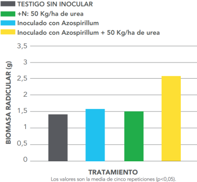 graph 1 ARROZ