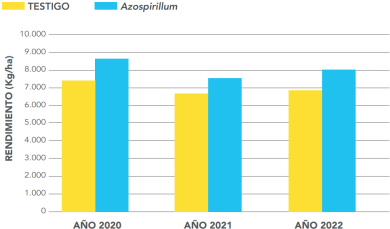 graph 3 ARROZ