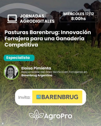 pasturaBarenbrug