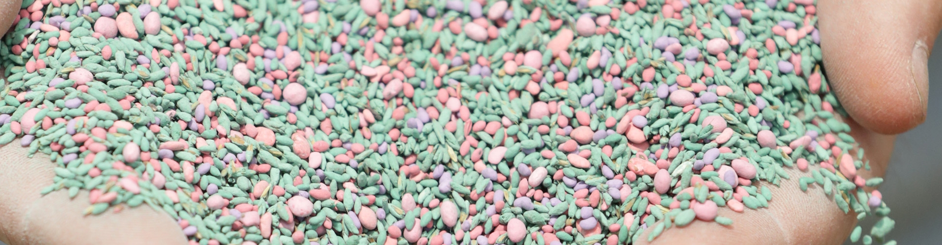 Seed Coating
