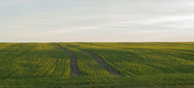 insecticidas Barenbrug