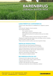 Ficha técnica_BARENBRUG_Cebada Rayén INTA