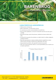 Ficha técnica_BARENBRUG_Cebadilla Bareno