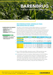 Ficha técnica_BARENBRUG_SORGO SILOGRAIN
