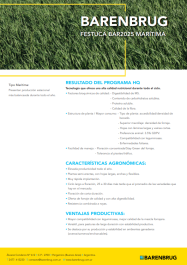 Ficha técnica_BARENBRUG_Festuca BAR2025.pdf