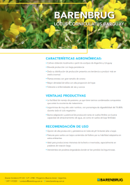 Ficha técnica_BARENBRUG_Lotus Corniculatus.pdf