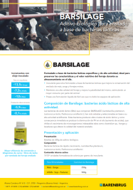 Barsilga