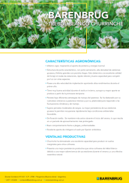 Ficha técnica_BARENBRUG_Trebol Blanco.pdf