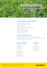 Ficha técnica_BARENBRUG_Alfalfa BAR9242.pdf