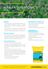 Ficha técnica - Alfalfa Supersonic.pdf