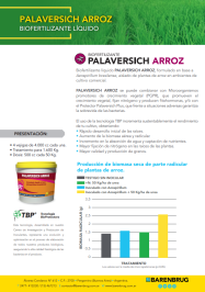 ARROZ