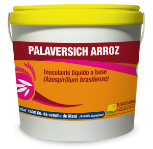 Balde palaversich arroz