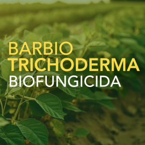 barbio trichoderma Barenbrug