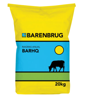 RaigrasBarHQ