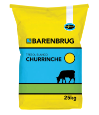 TREBOL B CHURRINCHE.png