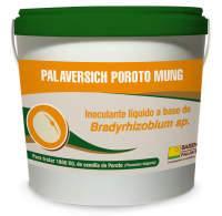 Poroto Mung Barenbrug Palaversich